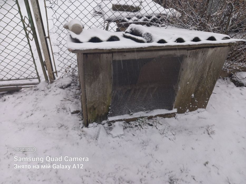 Клітки для кролів