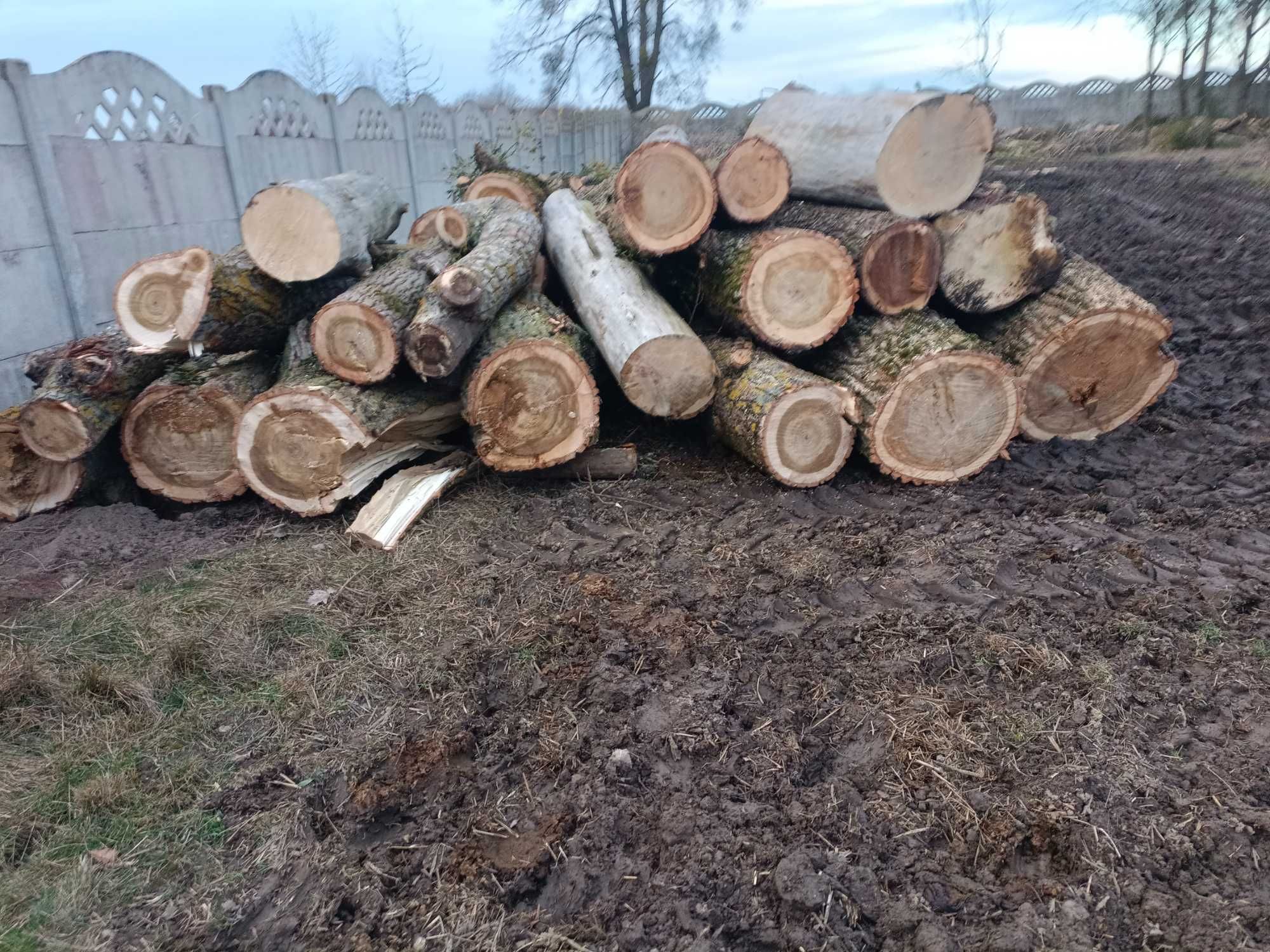 Topola na opał  sucha , świerk