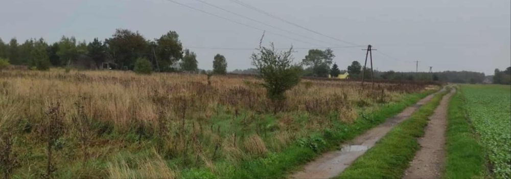 Sprzedam ziemie 4.20 ha 3.48 ha klasa IV i 0,72 ha klasy V i nieużytki