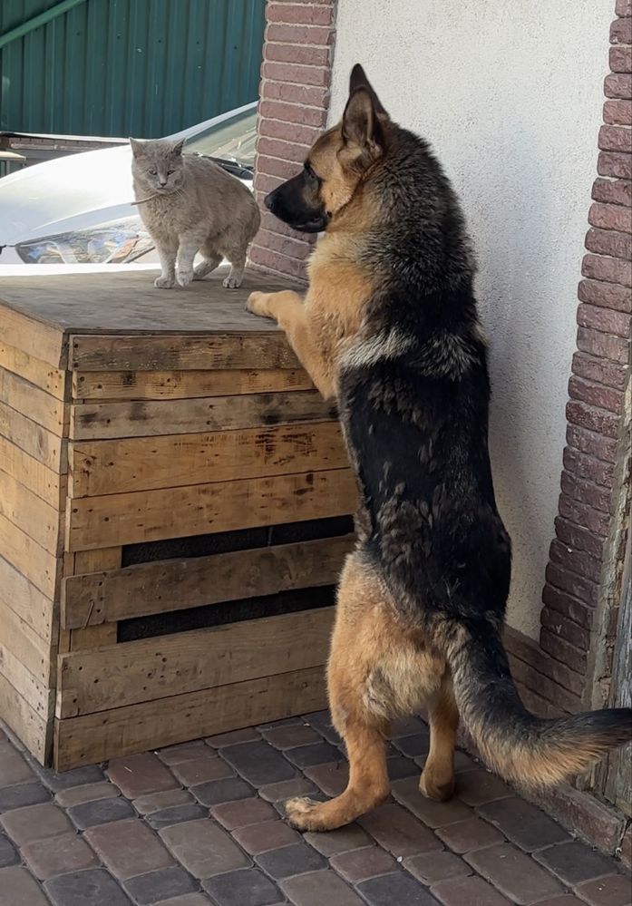Запрошую на побачення