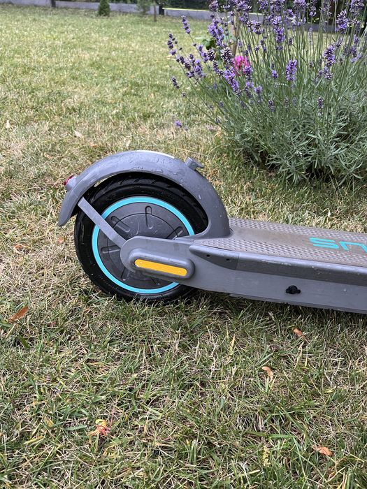 Motus scooty 10 2022