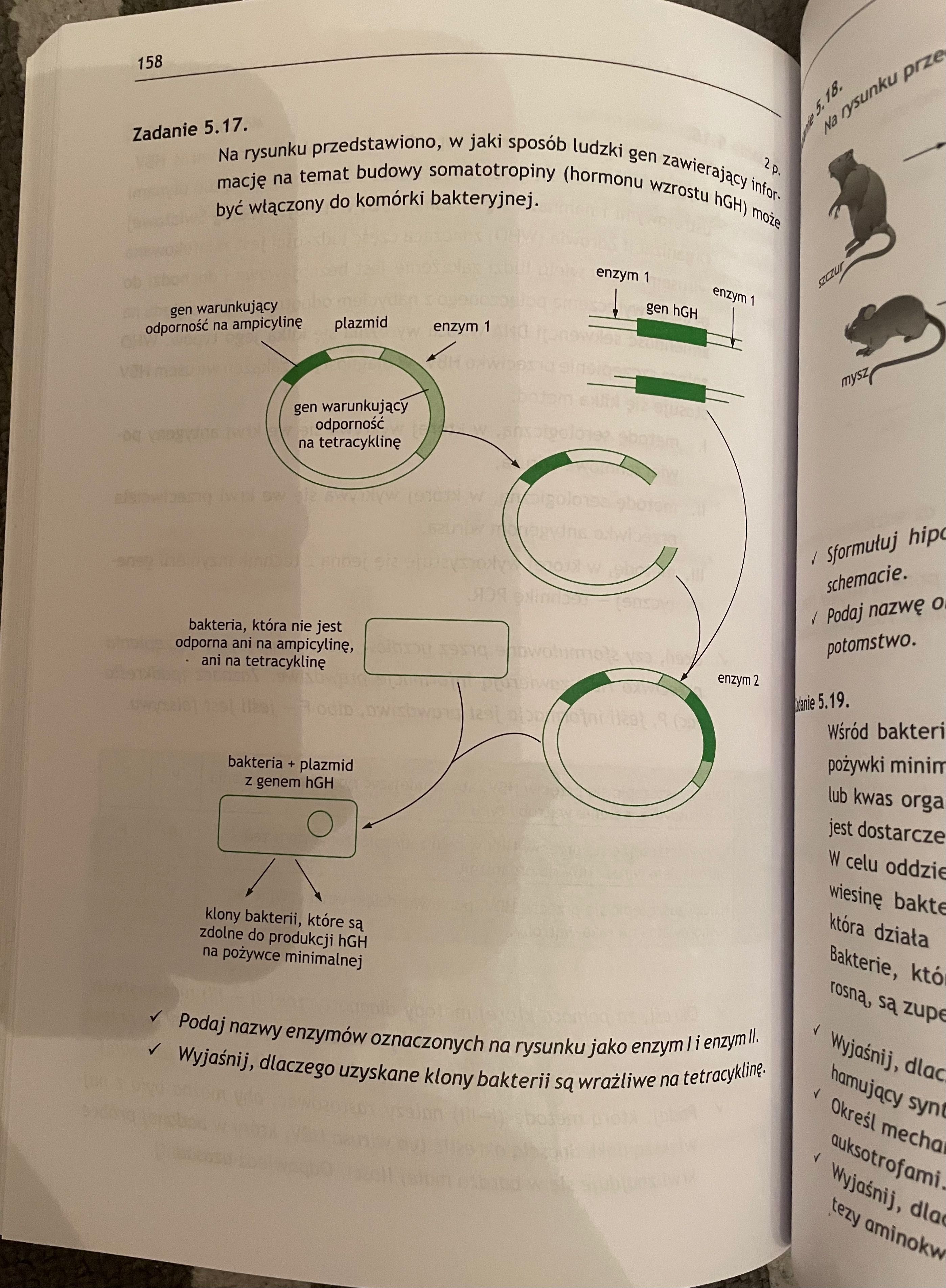 Biologia omega doświadczenia biologiczne w zadaniach