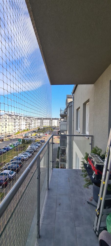 Siatka dla Kota Zielona Góra