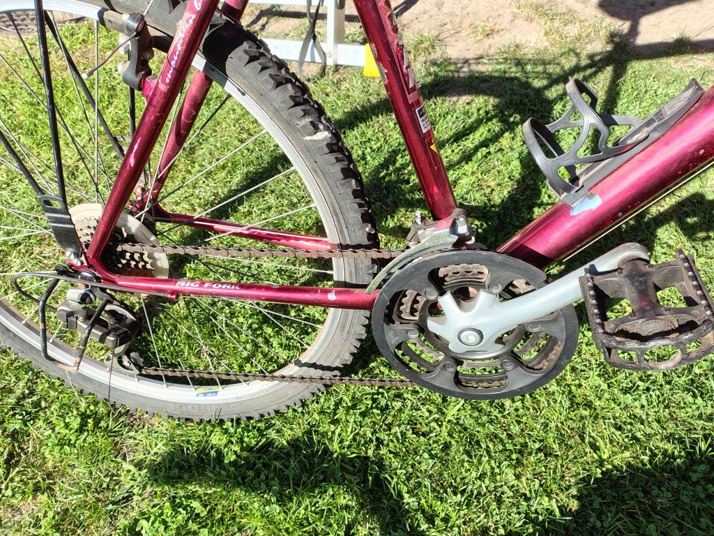 Rower MTB Big Fork