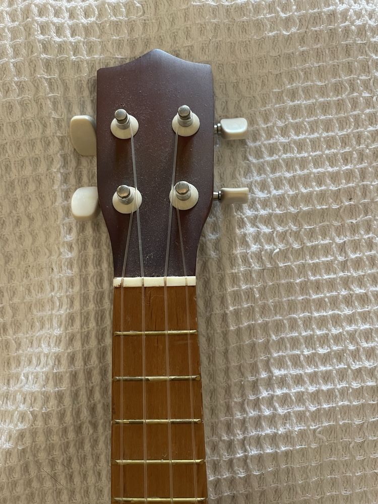 Ukelele novo castanho