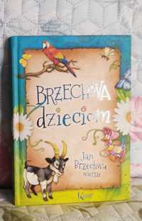 Książka Wiersze J.Brzechwa