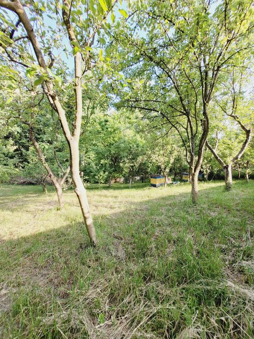 Продам вишуканий будинок в елітному р-ні Станишівки