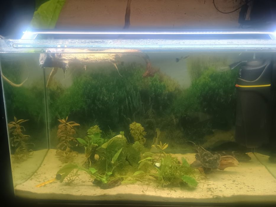 Akwarium 98 L z oświetleniem z belka led sinkor