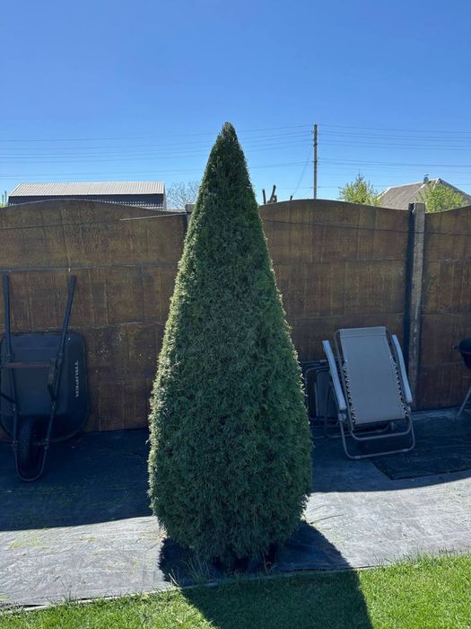 Догляд за садом,садівник,озеленювач Київ