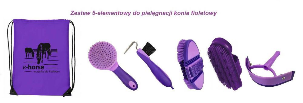 Zestaw szczotek 5-elementów + worek fioletowy