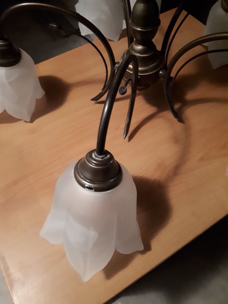 Lampa, żylandor pięcioramienny