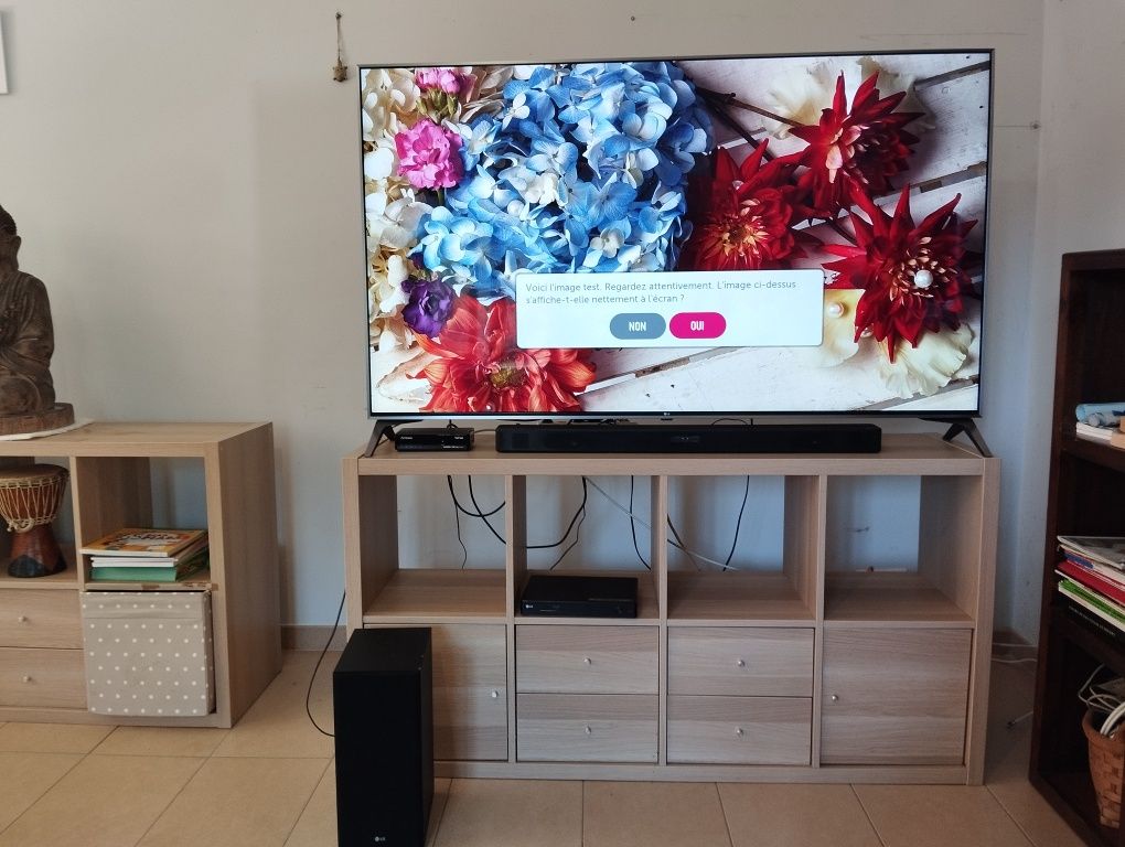 Tv LG 65 " HDR smartv