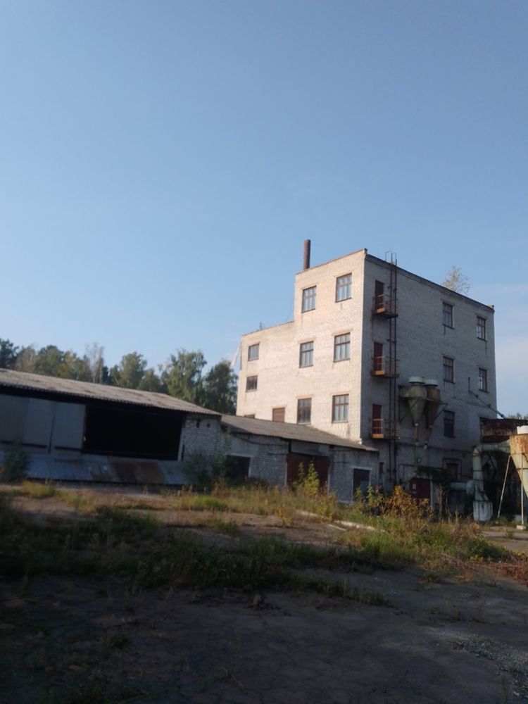 Продаеться семенной завод