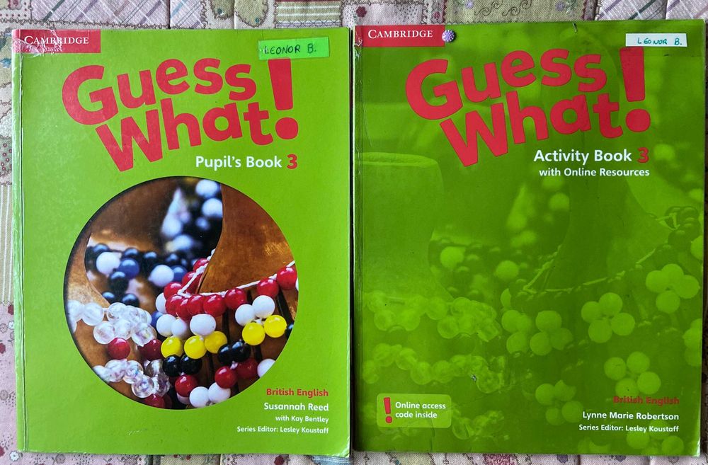 Guess what 3º ano