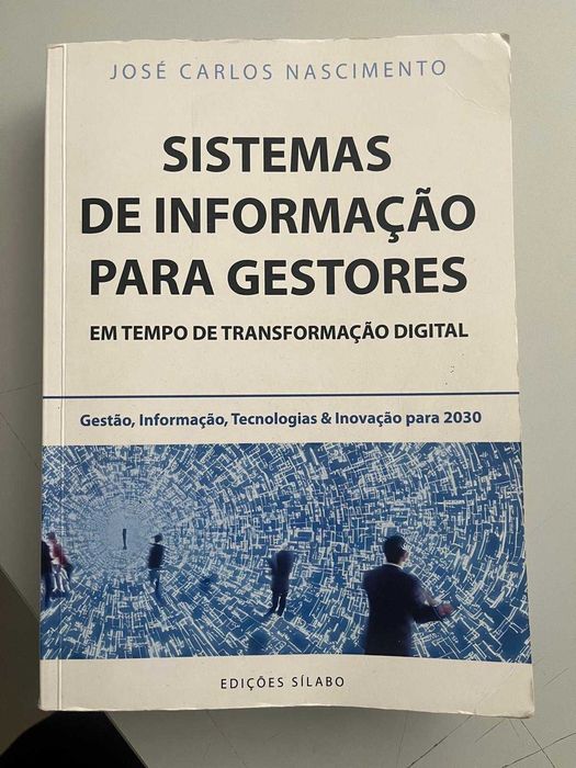 sistemas de informação para gestores