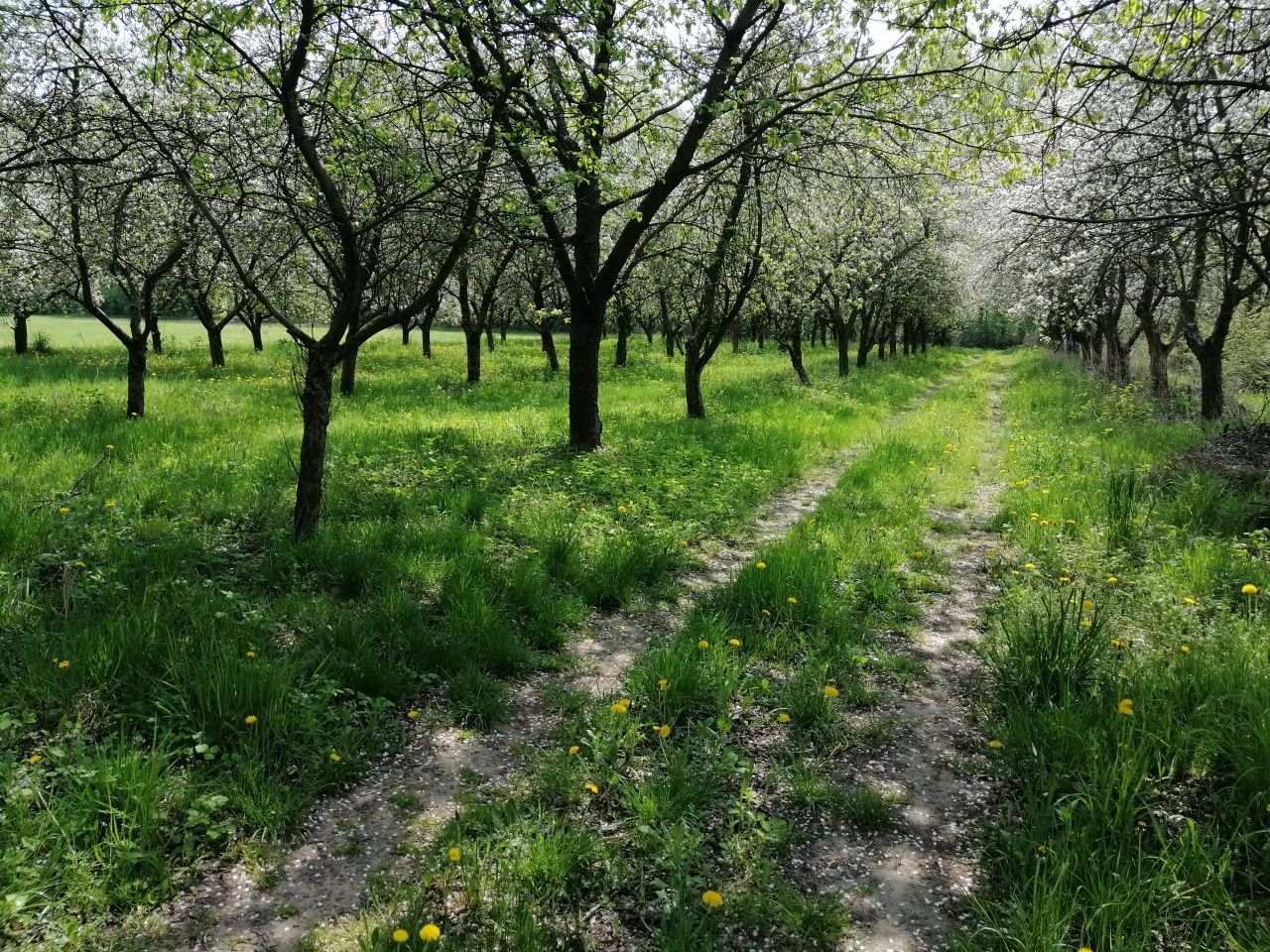 Sprzedam działki budowlane Mszczonów