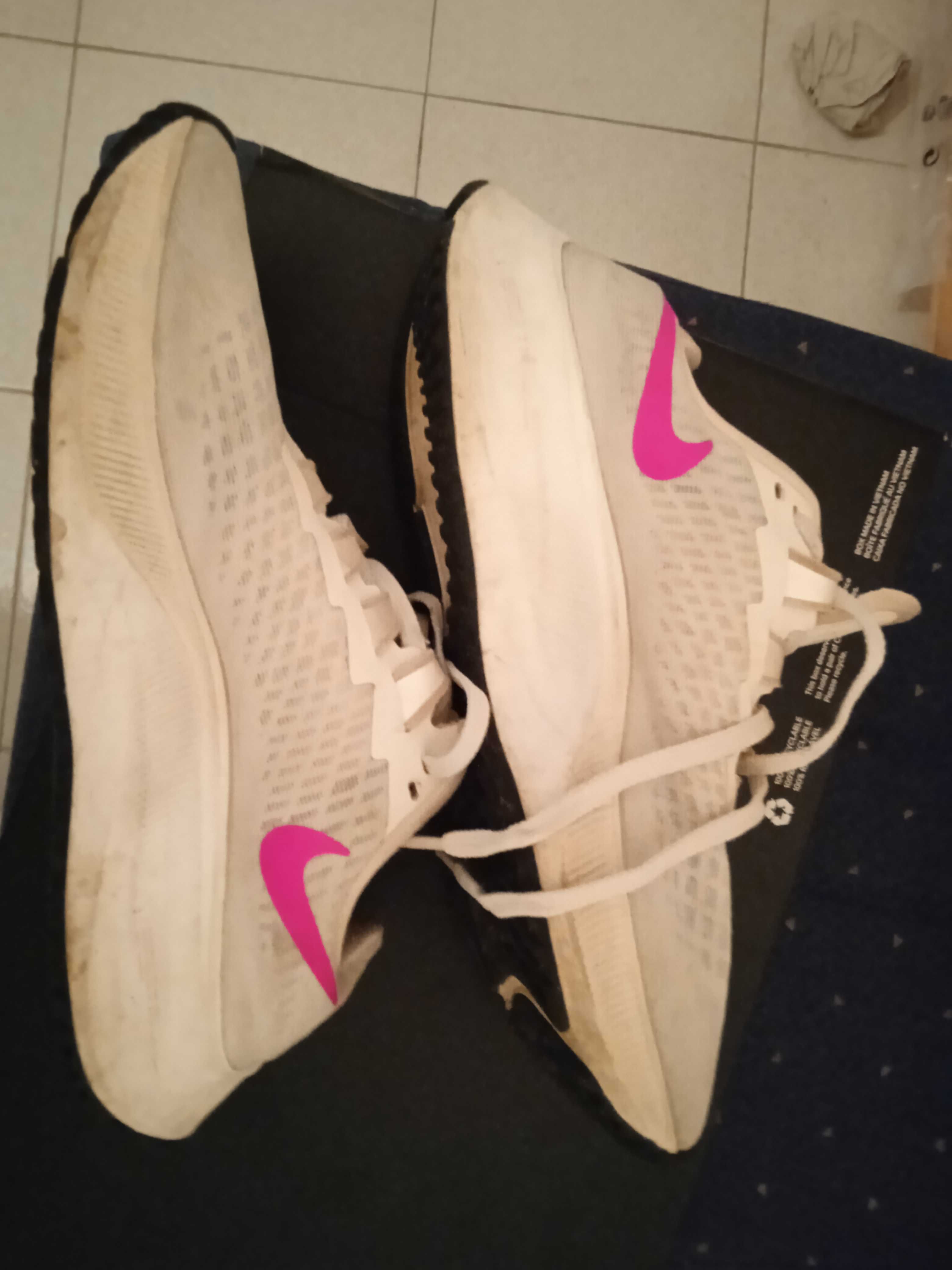 Nike Zoom Pegasus