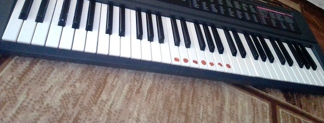 Синтезатор CASIO CTK-450