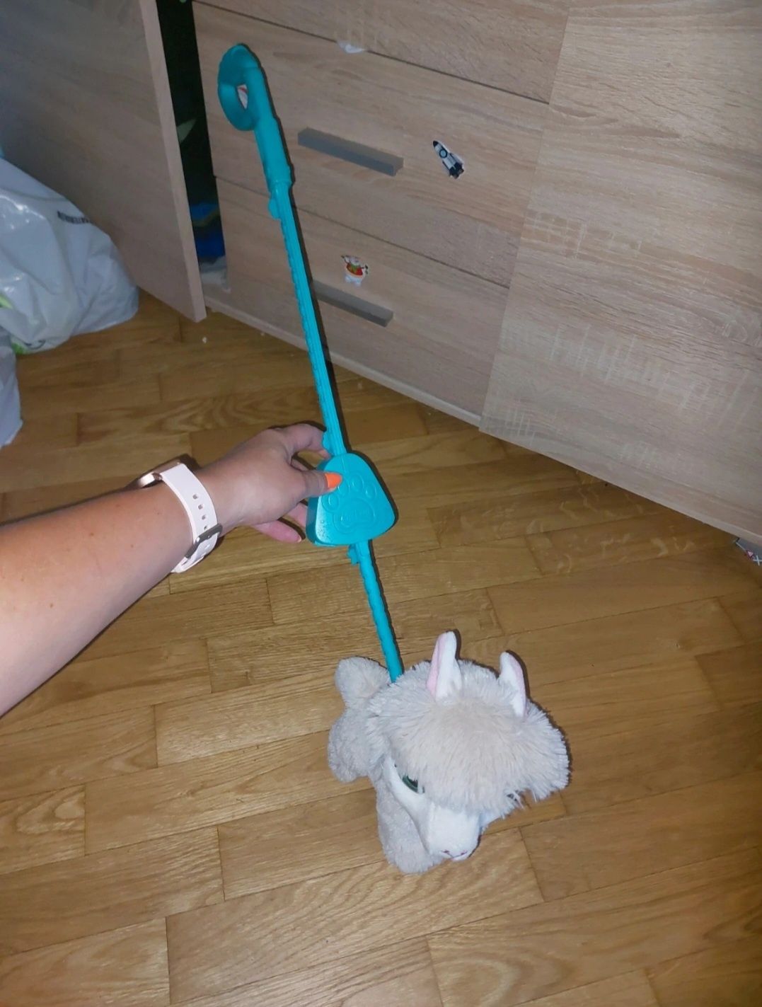 Jeżdżącą i wydająca dźwięki lama