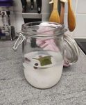 Kryształki japońskie na kefir wodny | Naturalny izotonik i probiotyk