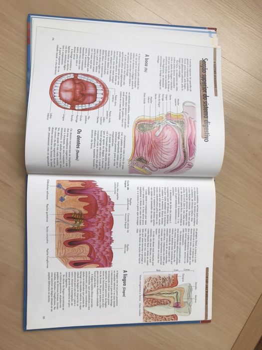 Livro sobre Corpo Humano