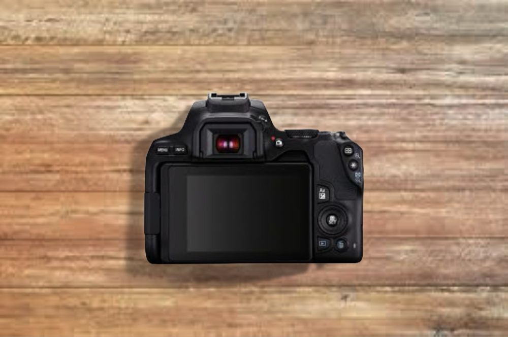 Canon 250D (SL3) + 2 objetivas