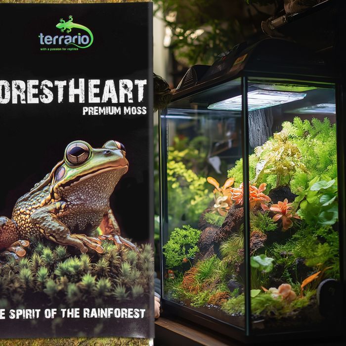 terrario forestheart sphagnum moss - mech torfowiec 100g