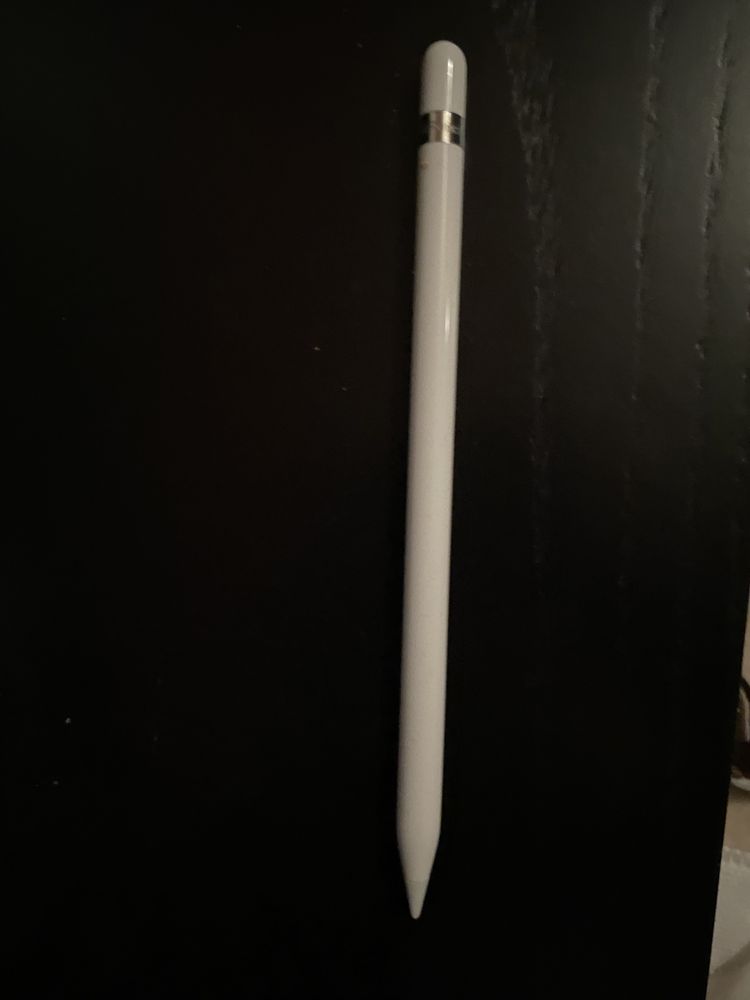 Apple Pencil 1ª geração