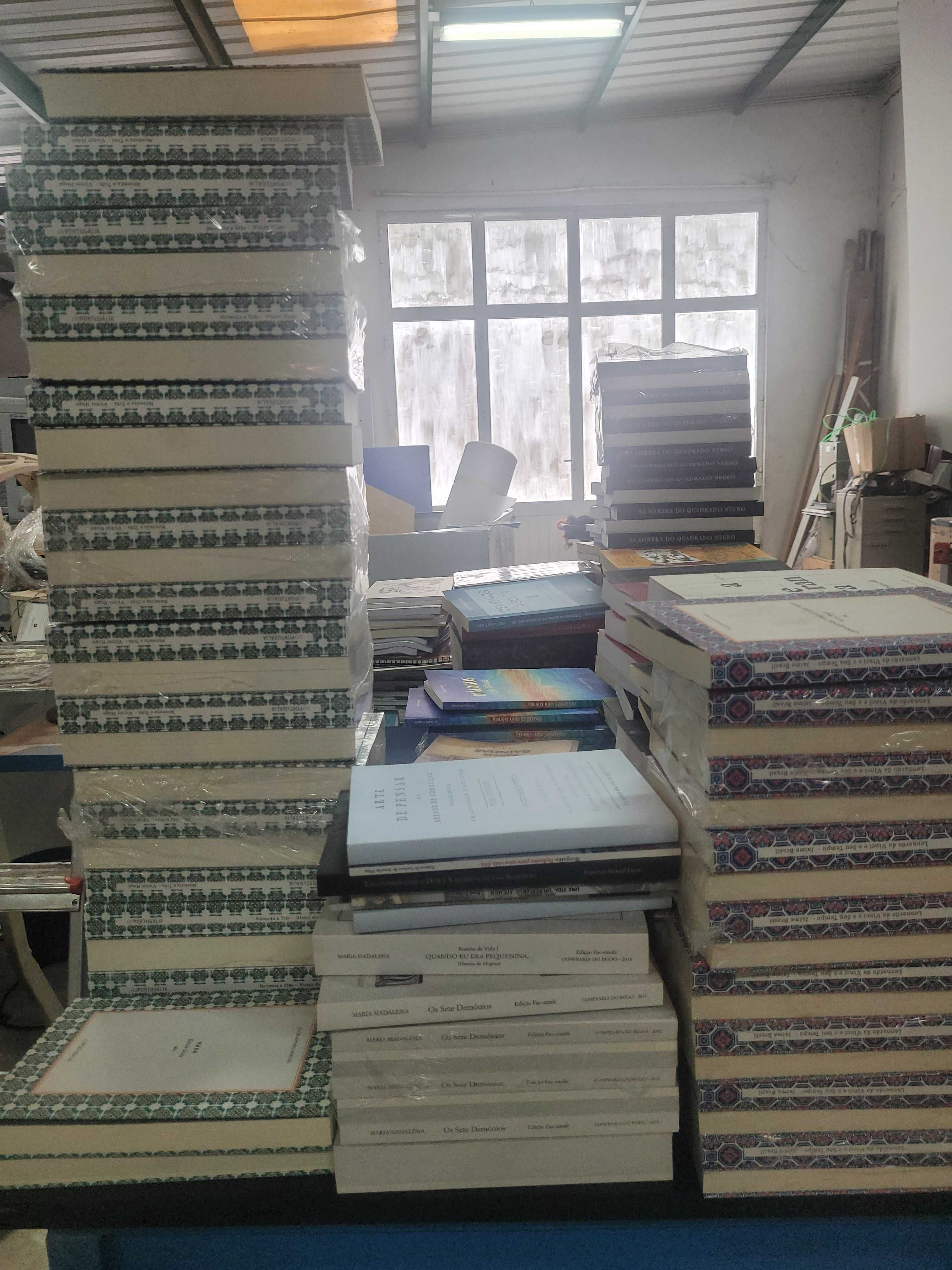 Lote de livros, romances, poesia, clássicos.