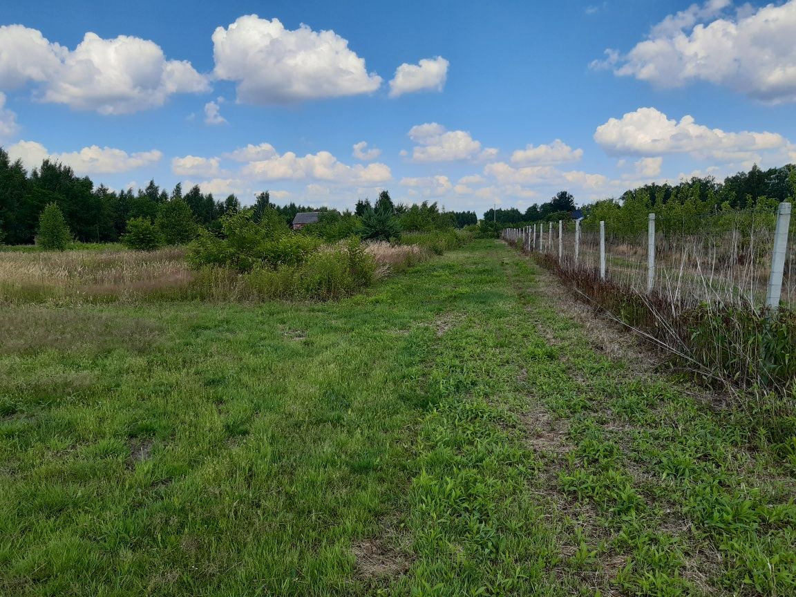 REZERWACJA _Działka budowlana 1222 m2 w Barcicach Drwalewskich