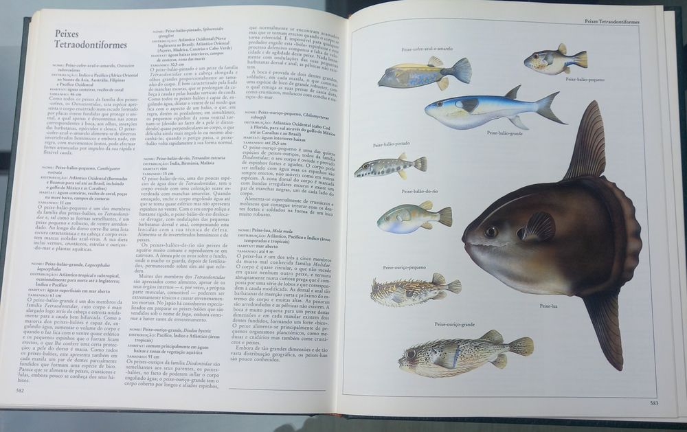 Moderna enciclopédia de animais lexicoteca