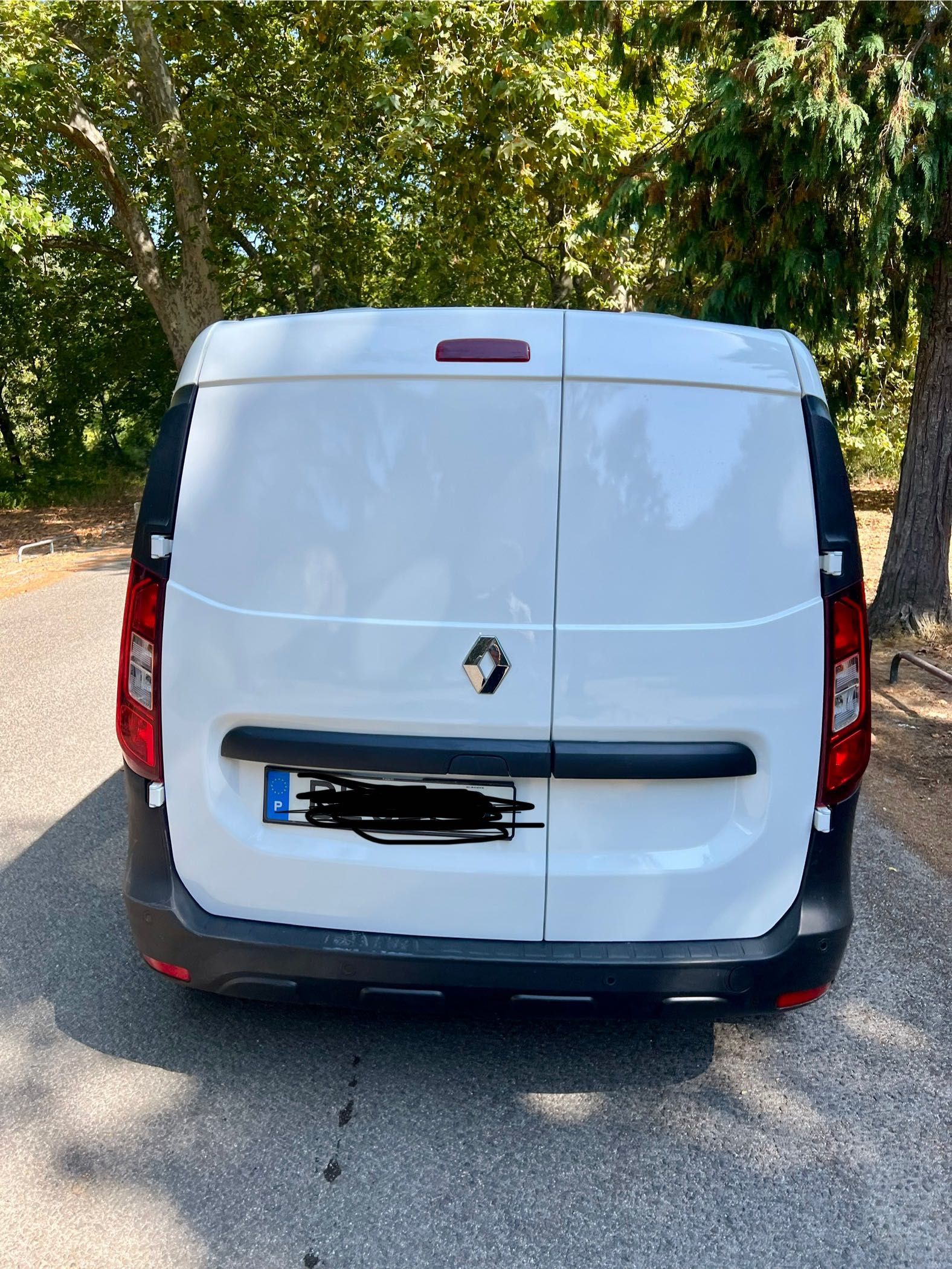 Renault Kangoo express 2024