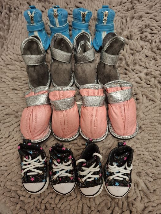 Взуття для собак дрібних порід нове