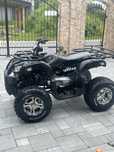 Quad shinrey 200
