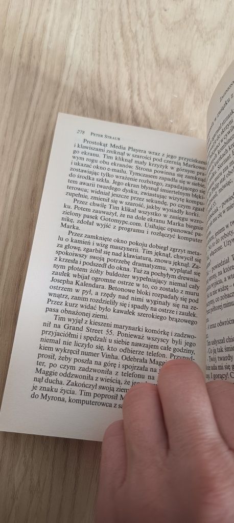 Zaginiony, zaginiona. Peter Straub