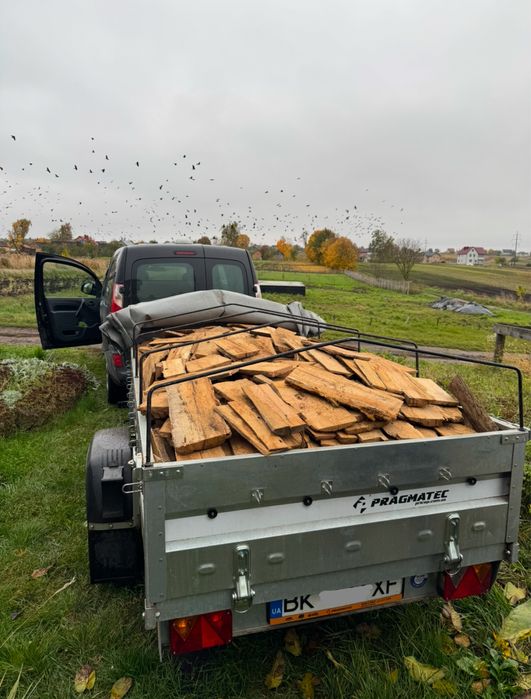 Продам дрова дубові сухі рубані Дешево