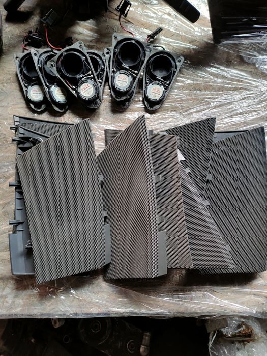 Динаміки пищалки сіточки