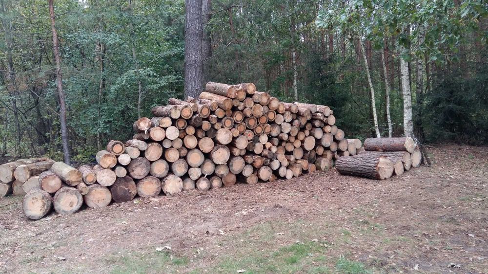 Drewno opałowe ,opał Sosna w grubych wałkach
