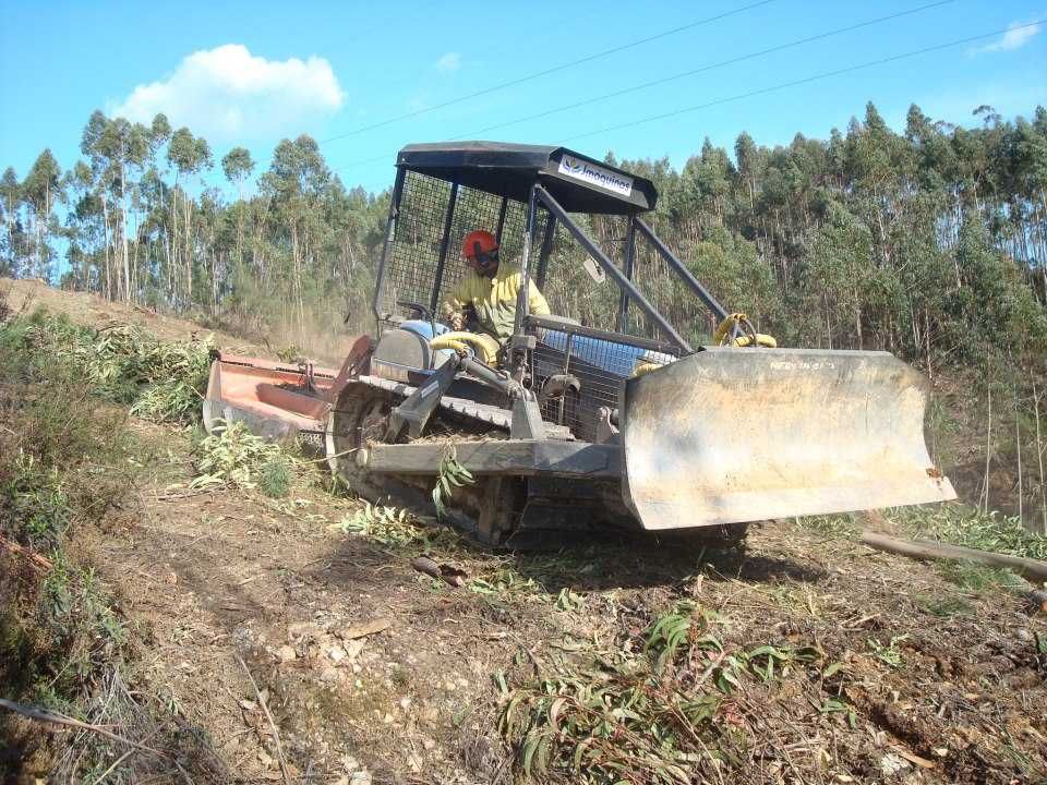 Corte de Madeiras e Lenhas; limpezas de terrenos