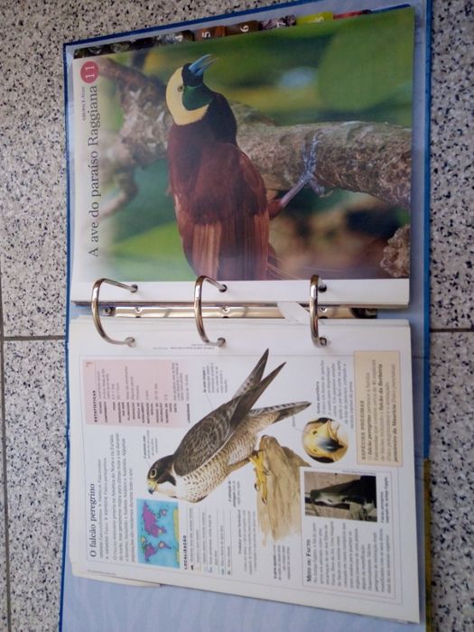 Enciclopédia "O Fascinante Mundo Animal"
