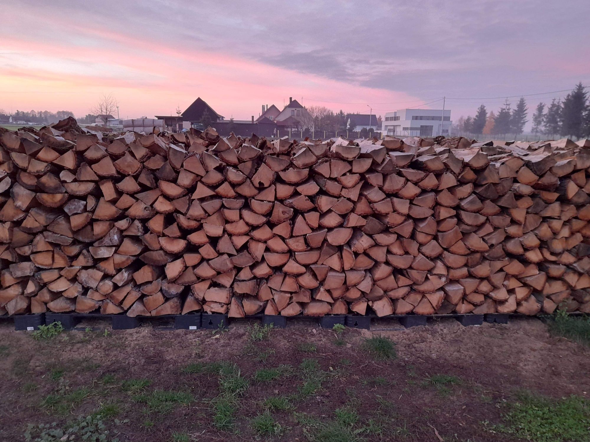 Drewno opałowo/kominkowe - Dąb