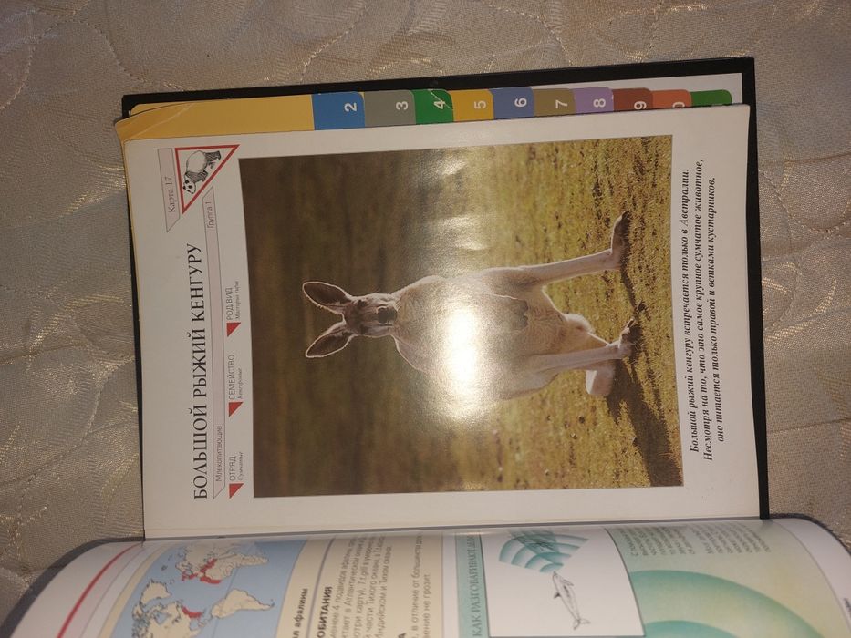 Большая энциклопедия животных