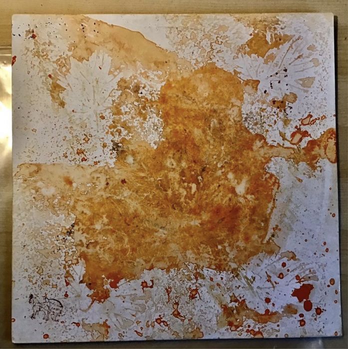 Hash Smits - Moonflowers - Lp raríssimo com capa única!!