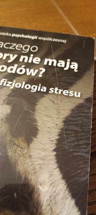 "Dlaczego zebry nie mają wrzodów". Sapolsky