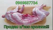 Продається м`ясо кролика