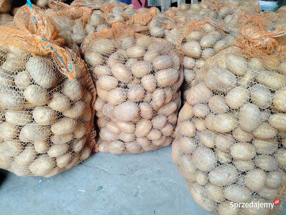 ziemniaki Soraya  20 zł/ 15kg