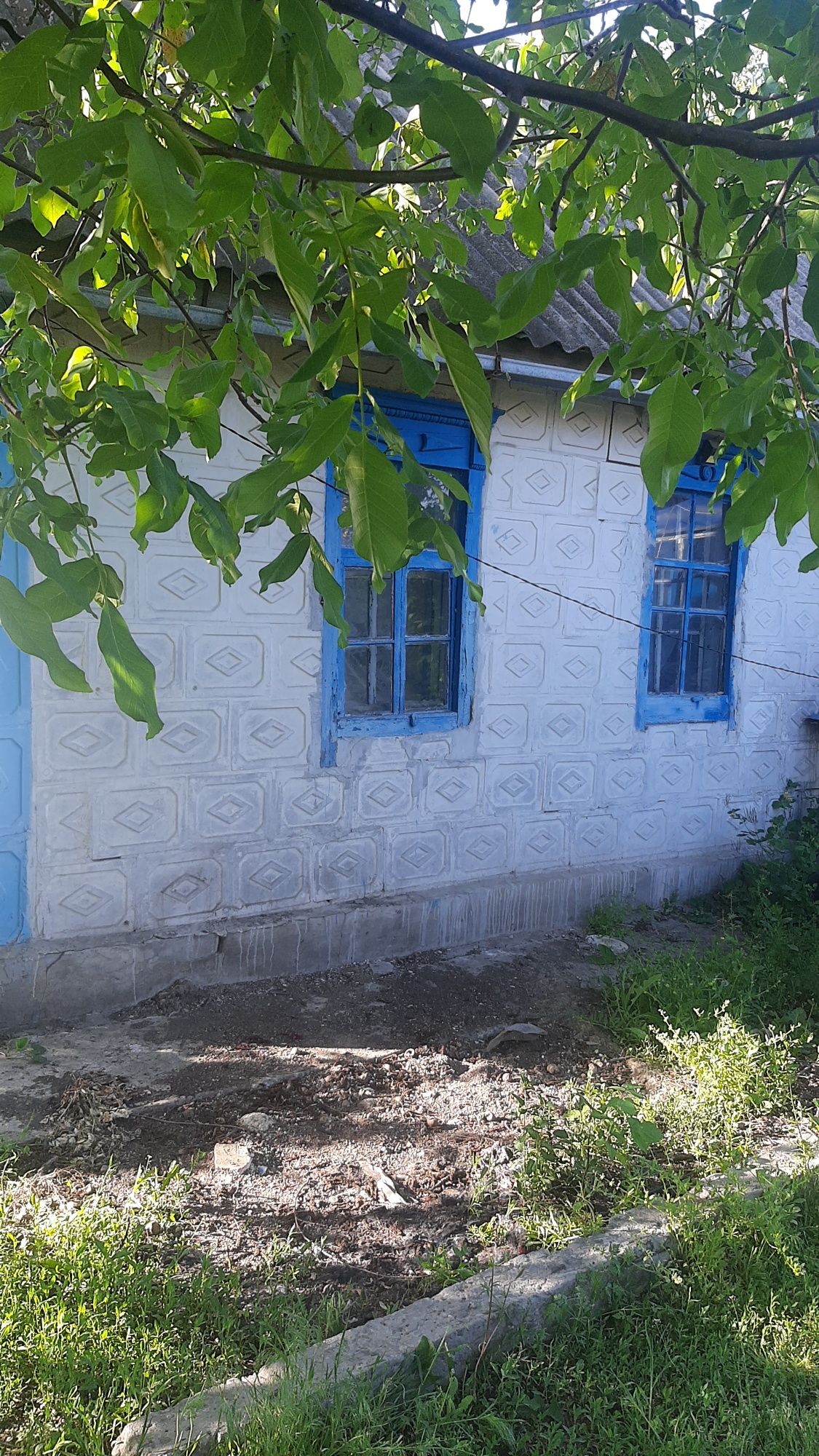 Продам дом в селе Сурско-Литовське