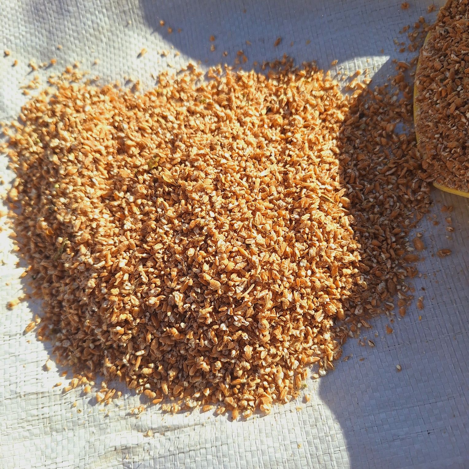 Pszenica Gnieciona Dla Kur Niosek 25kg