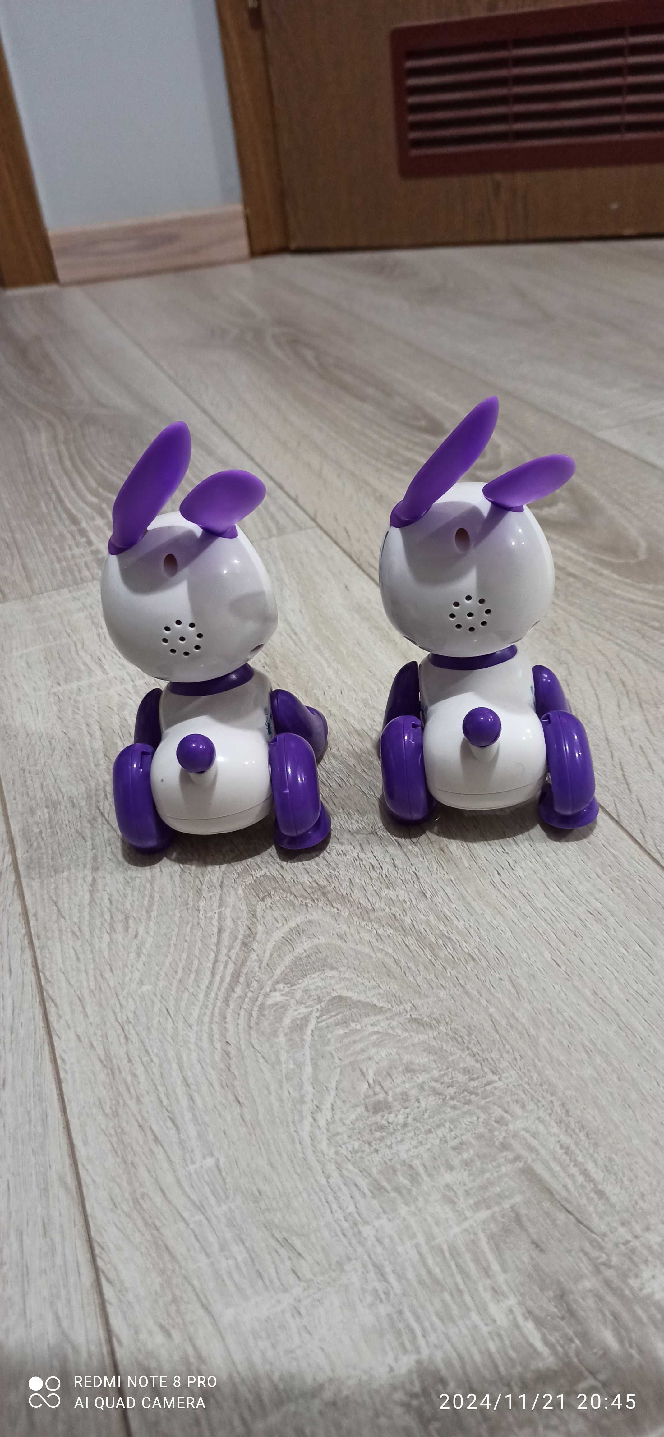 Sprzedam śliczne króliczki-roboty