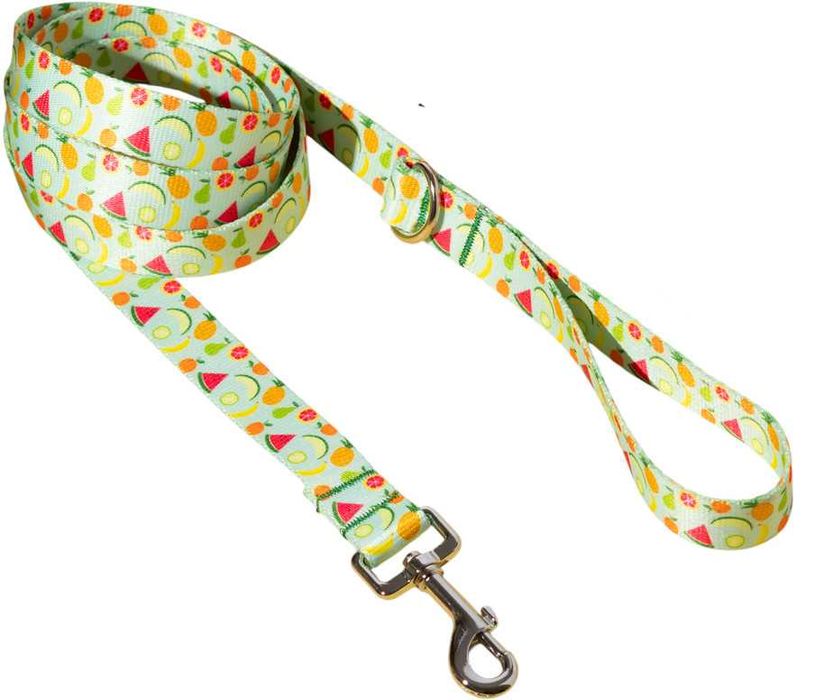 Smycz miejska dla psa z rączką kolorowe owoce 300cm 3m taśma 2cm